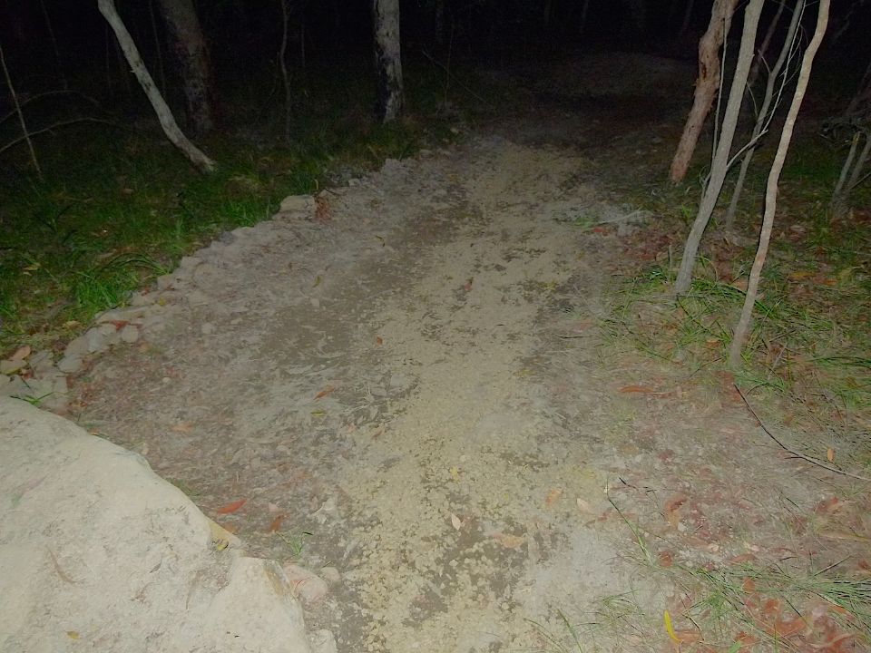 P1160389.jpg